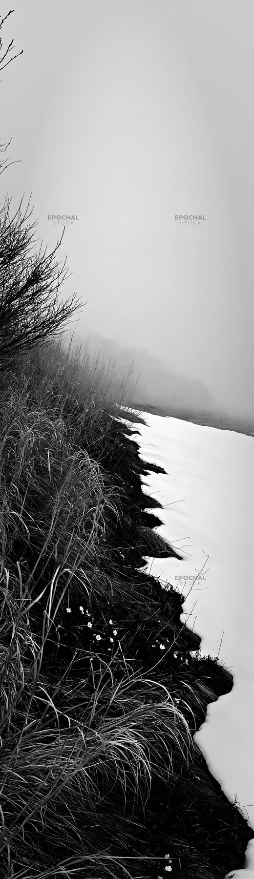 Black and white akita snowmelt meadow with silver grasses in foggy setting - AI-generated stock image
