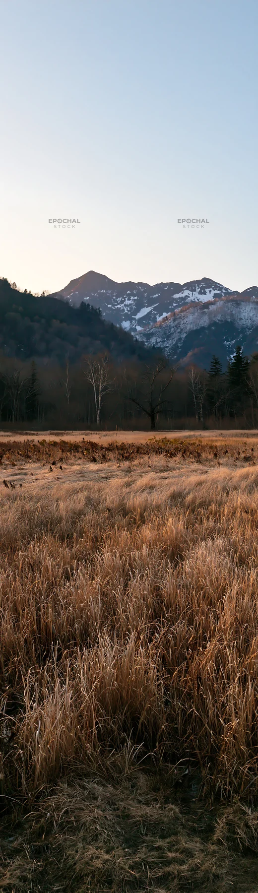 Akita snowmelt meadow with silver grasses near distant mountains - AI-generated stock image