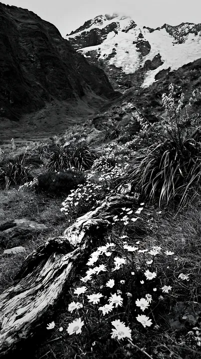 Weathered log in a meadow with flowers and snow-capped mountains - AI-generated stock image