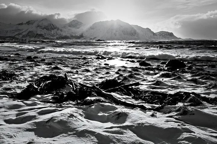 Lofoten coastal meadow in winter with snow and water - AI-generated stock image