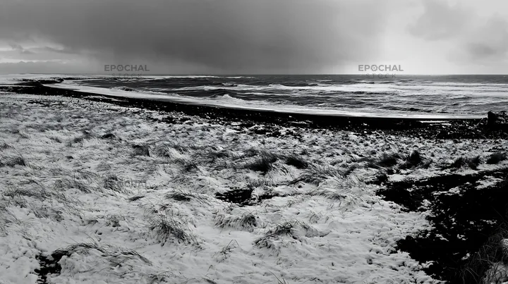 Snowy beach meadow with waves and low clouds - AI-generated stock image
