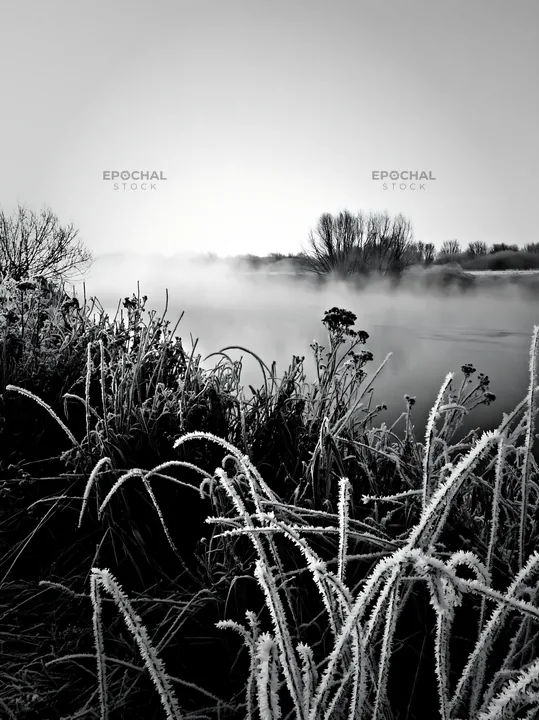 Frost-touched meadow beside a foggy water body - AI-generated stock image