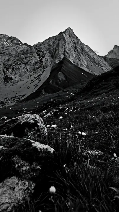 Climate-resilient meadow with mountain backdrop in black and white - AI-generated stock image
