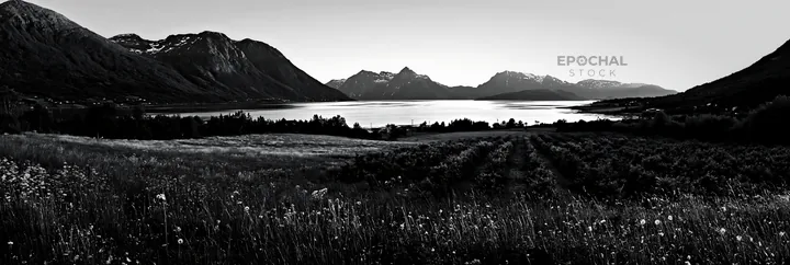 Fjord orchard meadow with mountains and water in black and white - AI-generated stock image