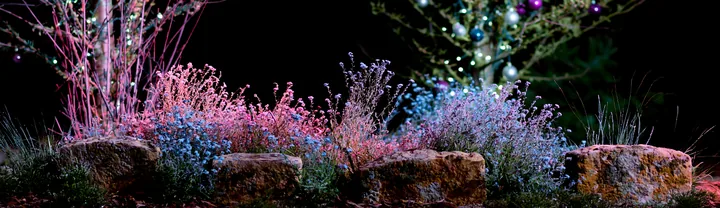 Frosted meadow with apple trees and Christmas baubles at night - AI-generated stock image