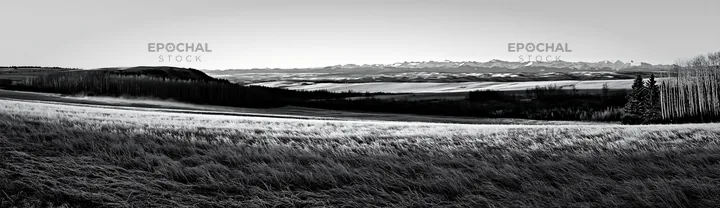 Frosty meadow at sunrise with distant mountains - AI-generated stock image