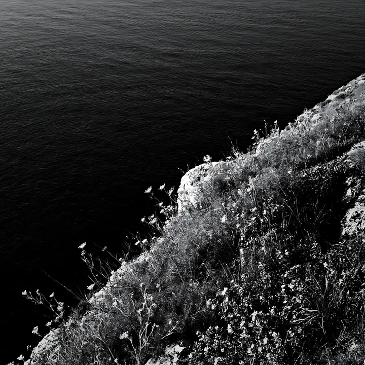 Cliffs overlooking a coastal meadow at sunset - AI-generated stock image