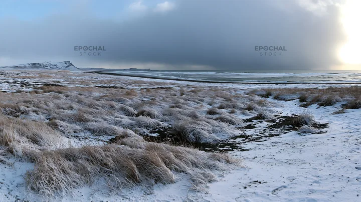 Snowy beach meadow with grass in winter landscape - AI-generated stock image