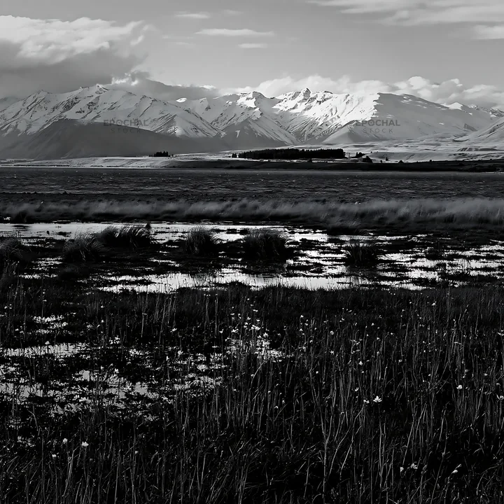 Snowy alps and meadow at Lake Tekapo in black and white - AI-generated stock image