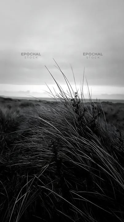 Coastal meadow with tall grass swaying in the wind - AI-generated stock image