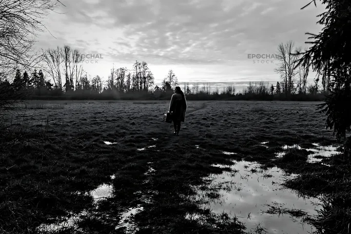 Walking through a winter meadow at dusk - AI-generated stock image