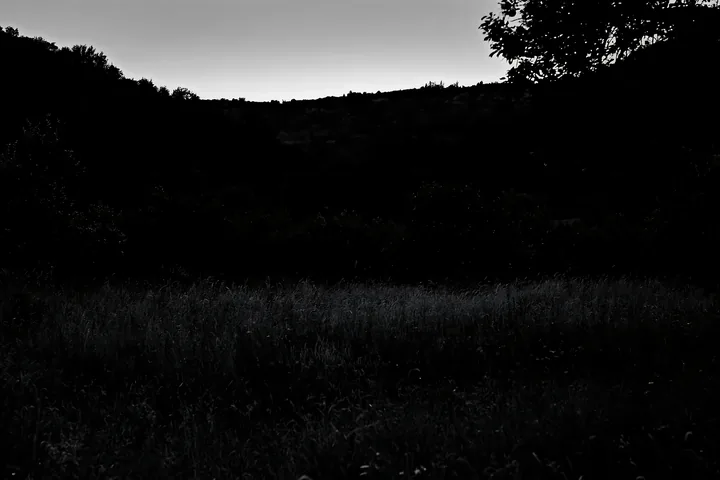 Apple meadow at dusk in a valley landscape - AI-generated stock image