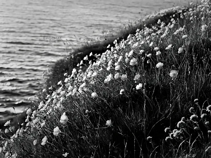 Buttercup meadow along the water's edge - AI-generated stock image
