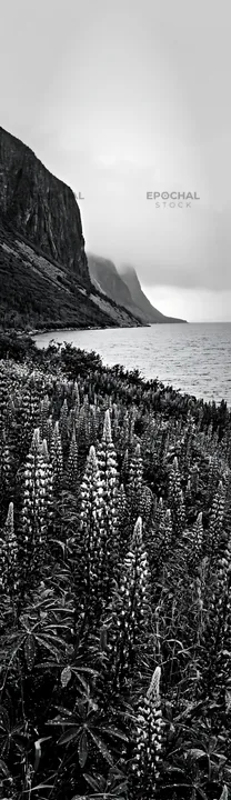 Colorful lupine meadow by the ocean with cliffs in background - AI-generated stock image