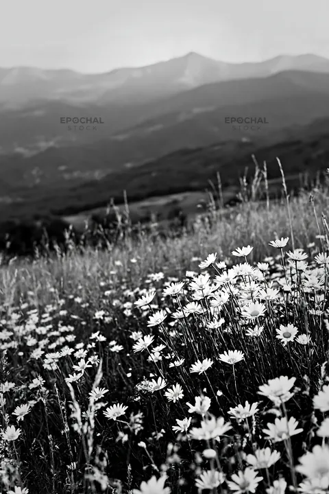Flower-filled meadow below Pyrenees mountains in France - AI-generated stock image