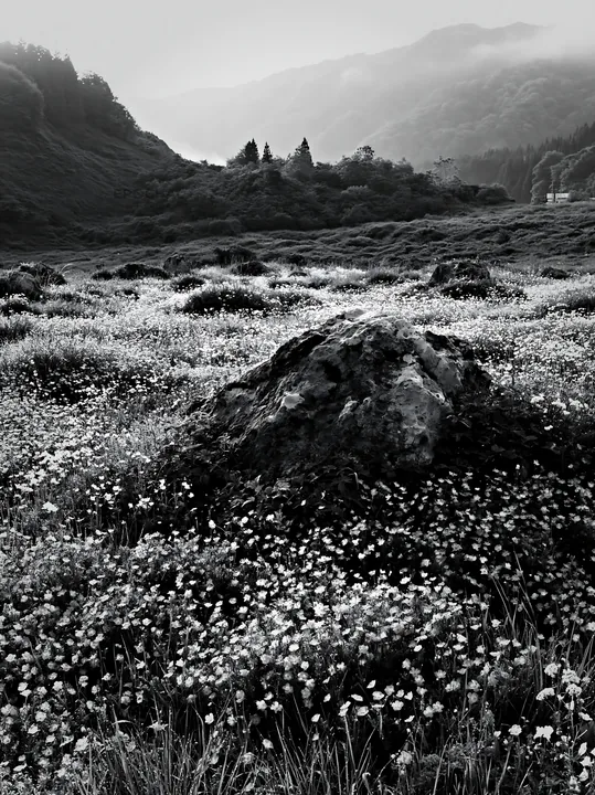 Yamaguchi limestone meadow with pale boulder and wildflowers - AI-generated stock image