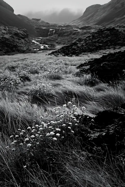 Flowering meadow near mountain falls with flowing water - AI-generated stock image