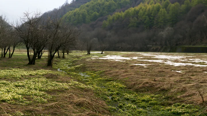 Apple meadow in a valley with green plants and bare trees - AI-generated stock image