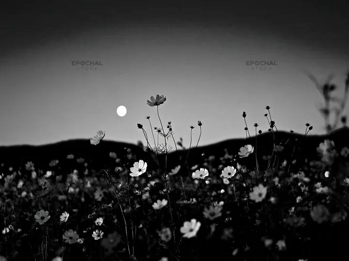 Colorful cosmos meadow with moon in the background - AI-generated stock image