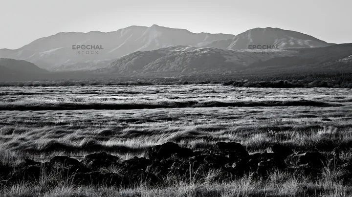 Kumamoto volcanic meadow with dark rock foreground - AI-generated stock image