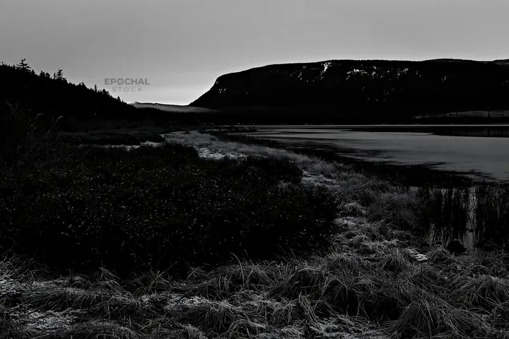 Lakeside meadow after first snowfall in black and white - AI-generated stock image