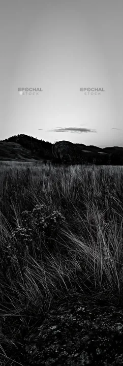 Nagano drought resilient meadow with granite boulder at dusk - AI-generated stock image