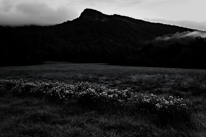 Dewy meadow with flowers near a mountain at dusk - AI-generated stock image
