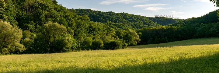 Hungarian meadow along wooded valley in daylight - AI-generated stock image