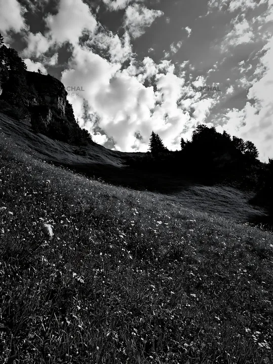 Transylvania summer hay meadow with clouds - AI-generated stock image