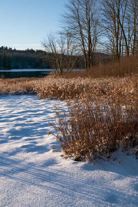 Lakeside meadow after first snowfall in winter - AI-generated stock image