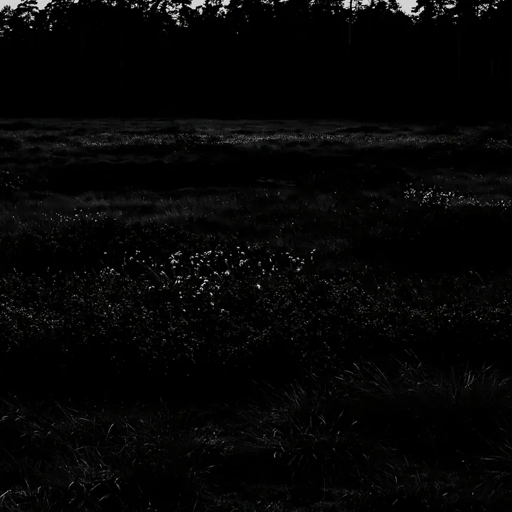 Moonlit meadow with flowers and trees at night - AI-generated stock image