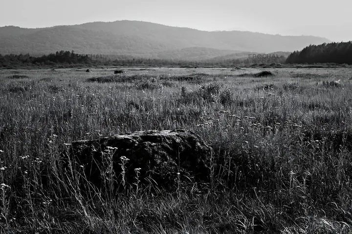 Nagano meadow with granite boulder in drought conditions - AI-generated stock image