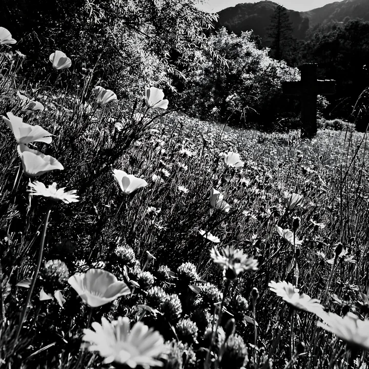Christian cross in meadow with flowers and mountains - AI-generated stock image