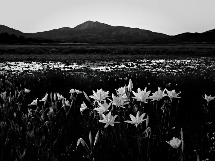 Night-blooming meadow with flowers and mountains in the background - AI-generated stock image