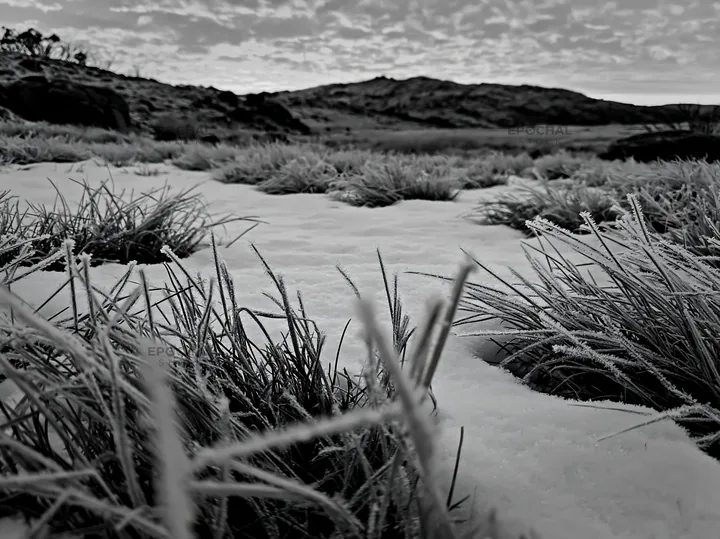 Black and white snowy highland meadow with frost-covered grass at sunrise - AI-generated stock image