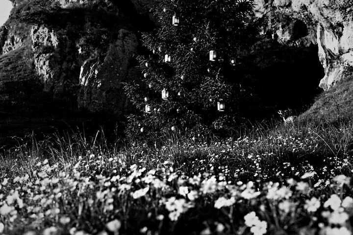 Christmas tree with lanterns in meadow by cave - AI-generated stock image