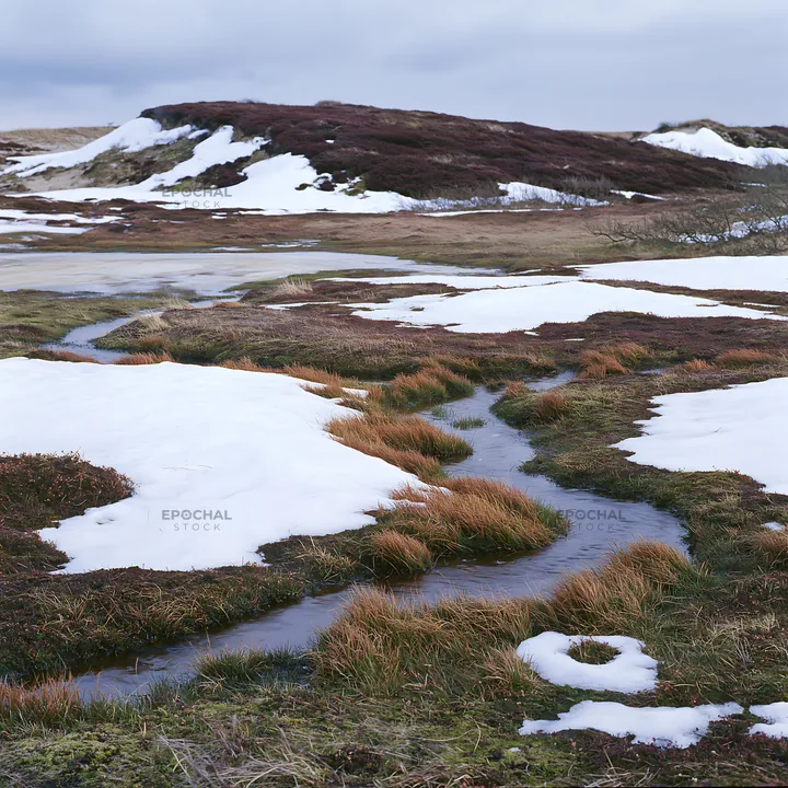 Dune meadow with snow patches and a stream - AI-generated stock image