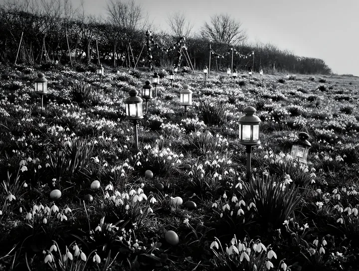 Vibrant Christmas lanterns illuminate winter meadow - AI-generated stock image