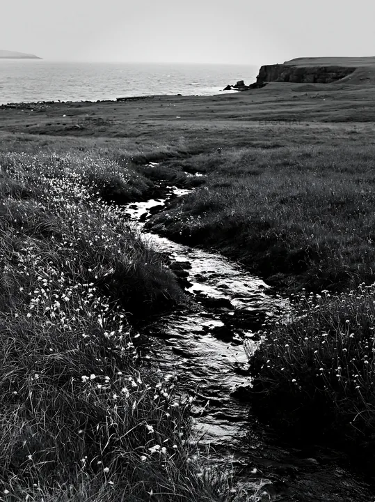 High contrast meadow stream flowing toward the ocean - AI-generated stock image