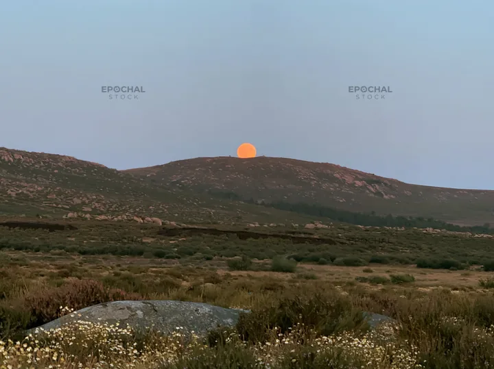 Moonrise over a meadow landscape with hills in the background - AI-generated stock image