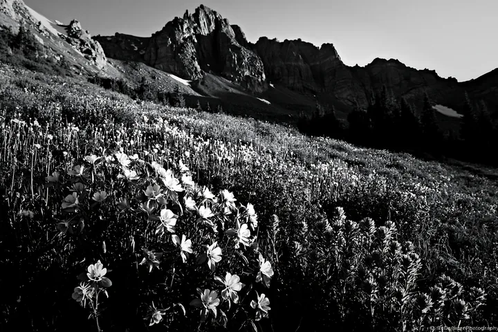 Meadow filled with flowers under rocky crags - AI-generated stock image