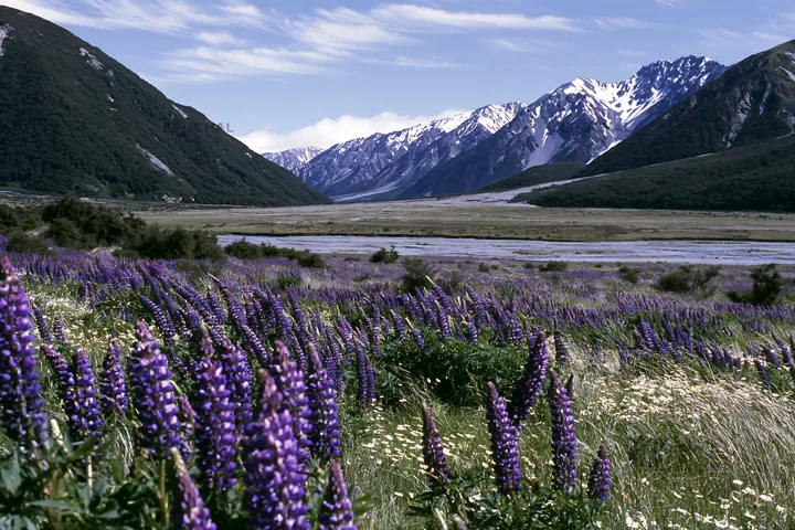 Rolling valley meadow with mountains in background - AI-generated stock image