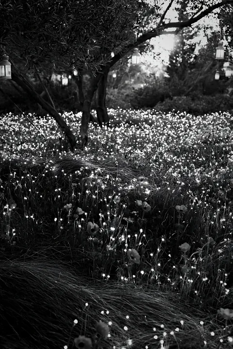 Wide Christmas meadow with native flowers and fairy lights - AI-generated stock image