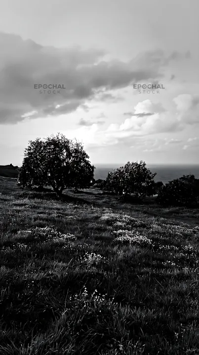 Winter meadow with apple trees near the coast - AI-generated stock image