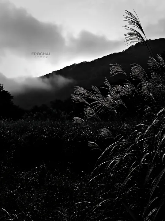 Iwate rain refreshed meadow with seedhead in the foreground - AI-generated stock image