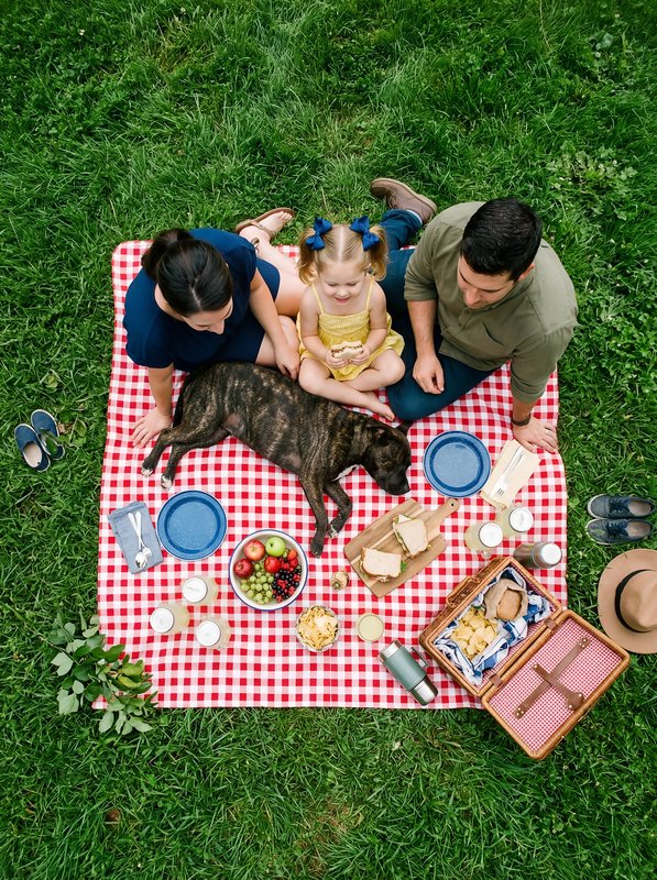 Family enjoys picnic on blanket with dog in grassy park Premium Stock Image - stock photo