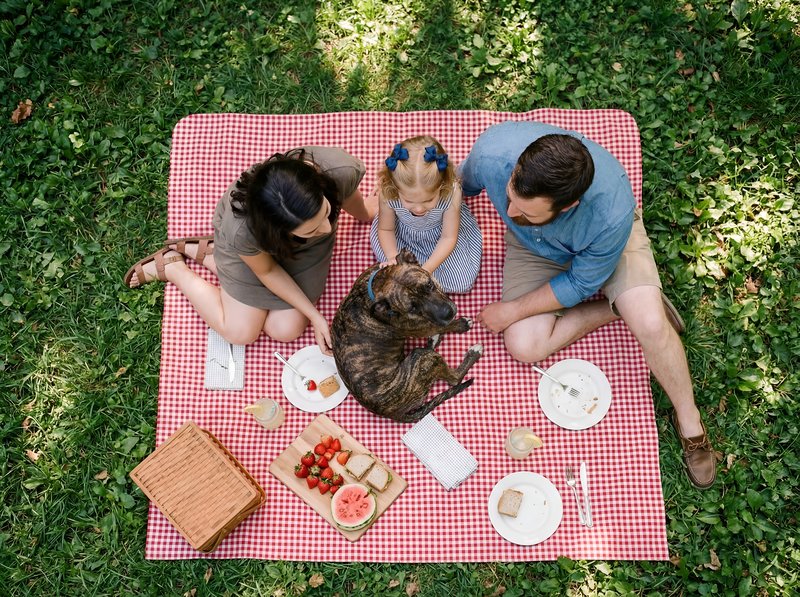 Family enjoys picnic on a blanket in the park with dog Premium Stock Image - stock photo