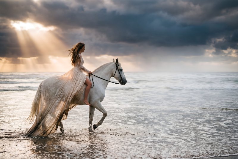 Woman rides white horse along shoreline at sunset Premium Stock Image - stock photo