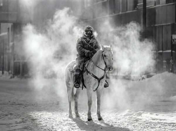Horse rider in winter city with snow and fog at dawn - stock photo