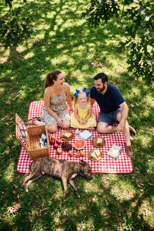 Family enjoys picnic in a park with dog on a sunny day Premium Stock Image - stock photo